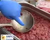 „S-au găsit gândaci și carne de vită depozitată cu muște și larve”. ANPC a oprit temporar activitatea unor restaurante chinezești | Amenda: 35.000 lei