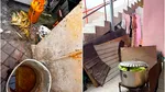 Unde se fierbe porumbul care se vinde pe plajă. Condiții greu de imaginat găsite de inspectorii ANPC