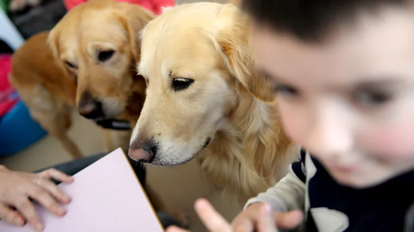Cum îi pot ajuta câinii pe copiii care suferă de autism 