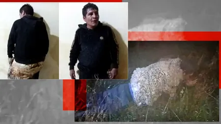 FOTO | „Păianjenul”, un deținut PERICULOS, a încercat să evadeze. S-a deghizat în oaie, dar a fost prins în timp ce se târa spre gardul închisorii