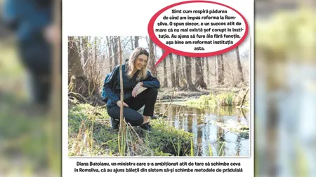 Cațavencii.ro: Reforma e frate cu românul. Romsilva își vede de împăduriri și defrișat bugetul