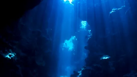 Descoperirea făcută de cercetători în Groapa Marianelor