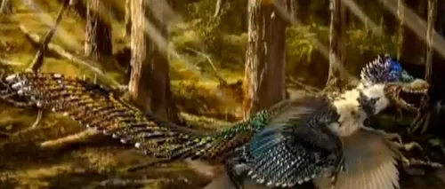 Oamenii de știință au descoperit fosilele unei specii de dinozaur cu aripi și pene
