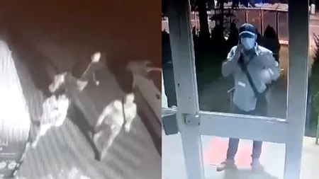 VIDEO Percheziții ale polițiștilor Capitalei într-un dosar de înșelăciune prin „metoda accidentul”.Prejudiciul este de aproape 46.000 de lei