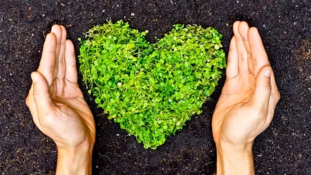 La Forumul de Sustenabilitate - 2021 al Coca-Cola HBC Group, GreenPoint Management obține Premiul de Sustenabilitate