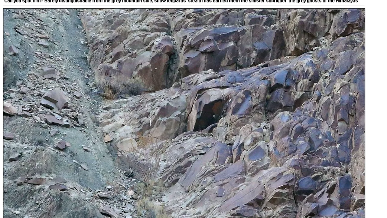 O minune a naturii. Privește această imagine cu mare atenție: ÎL OBSERVI?