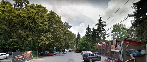 Drumul din Pădurea Băneasa care ajunge la un cartier rezidențial va fi închis parțial. Decizia Romsilva, de la 1 iunie