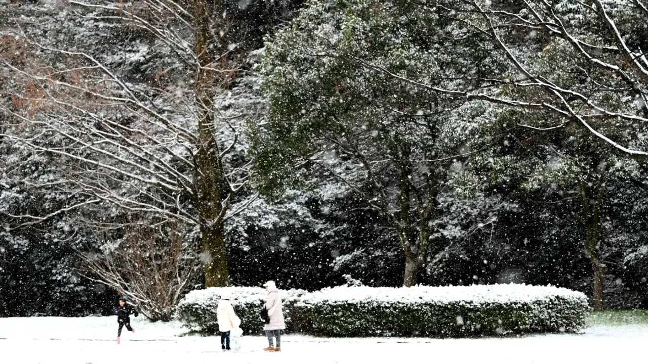 Ger de crapă pietrele. Ce temperaturi s-au înregistrat în țară în această dimineață