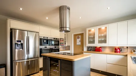 Aparatul electrocasnic care este un „magnet” pentru GÂNDACI. Cum prevenim infestarea bucătăriei și ce trucuri reduc consumul de energie