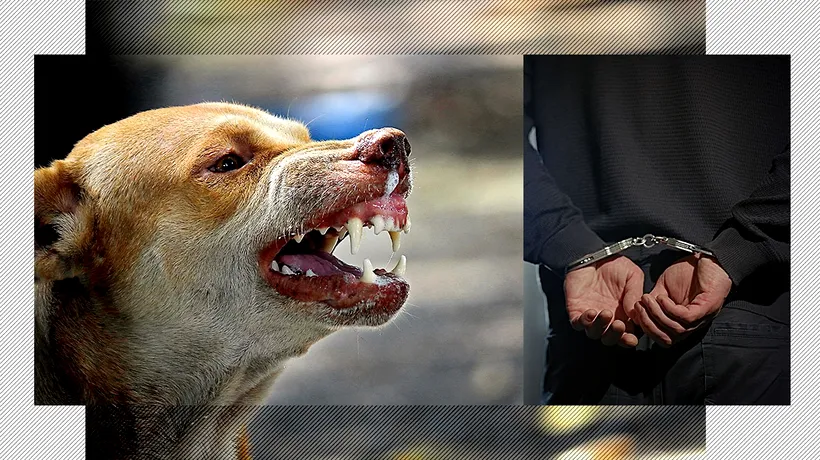 Un om din Suceava a fost condamnat la închisoare pentru fapta câinelui său. Companionul nesupravegheat a sfâșiat o femeie