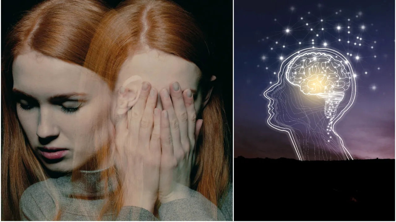 Ce arată un studiu genetic despre impulsivitate. Ce descoperire adânc înrădăcinată în ADN au făcut cercetătorii