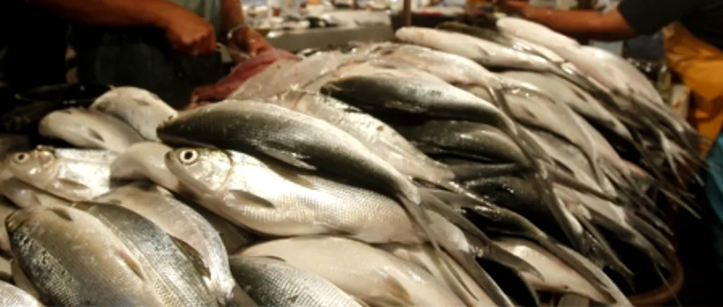Carne de pește etichetată greșit. O treime din peștele pe care îl cumpărăm nu este ceea ce credem 