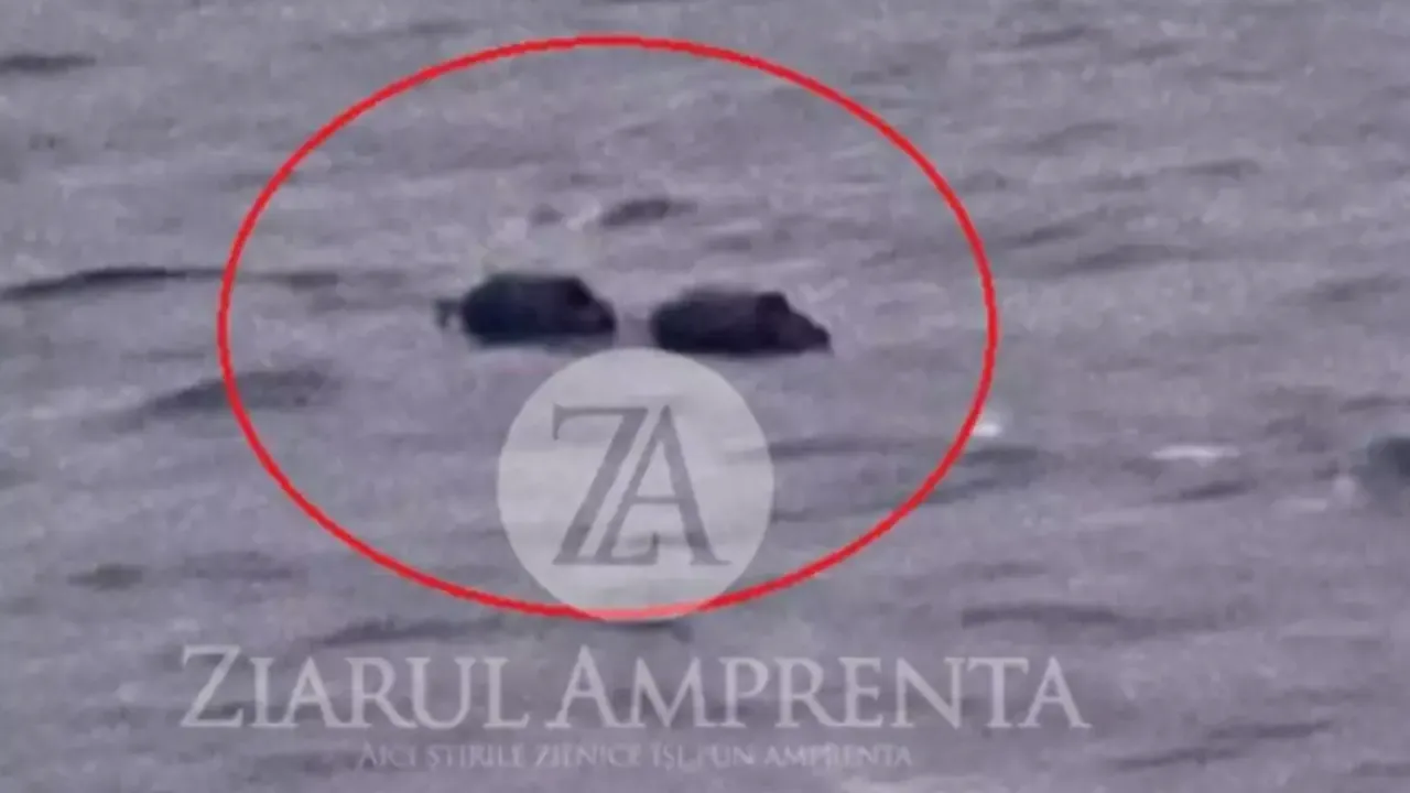 Alertă la Marea Neagră. Două obiecte neindentificate, posibil MINE, se îndreaptă în derivă spre Sf Gheorghe