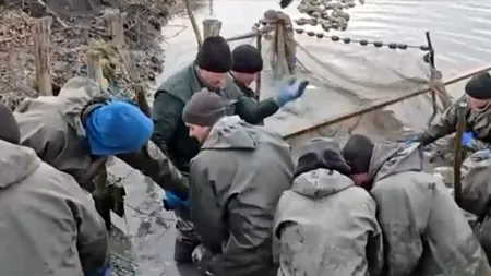 Fermele piscicole din România, în criză! Schimbările de TEMPERATURĂ și seceta aduc pierderi uriașe