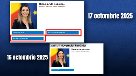 Gândul a scris, Guvernul a reacționat. Declarațiile de avere și de interese ale Dianei Buzoianu, ministra Mediului, au fost publicate pe site