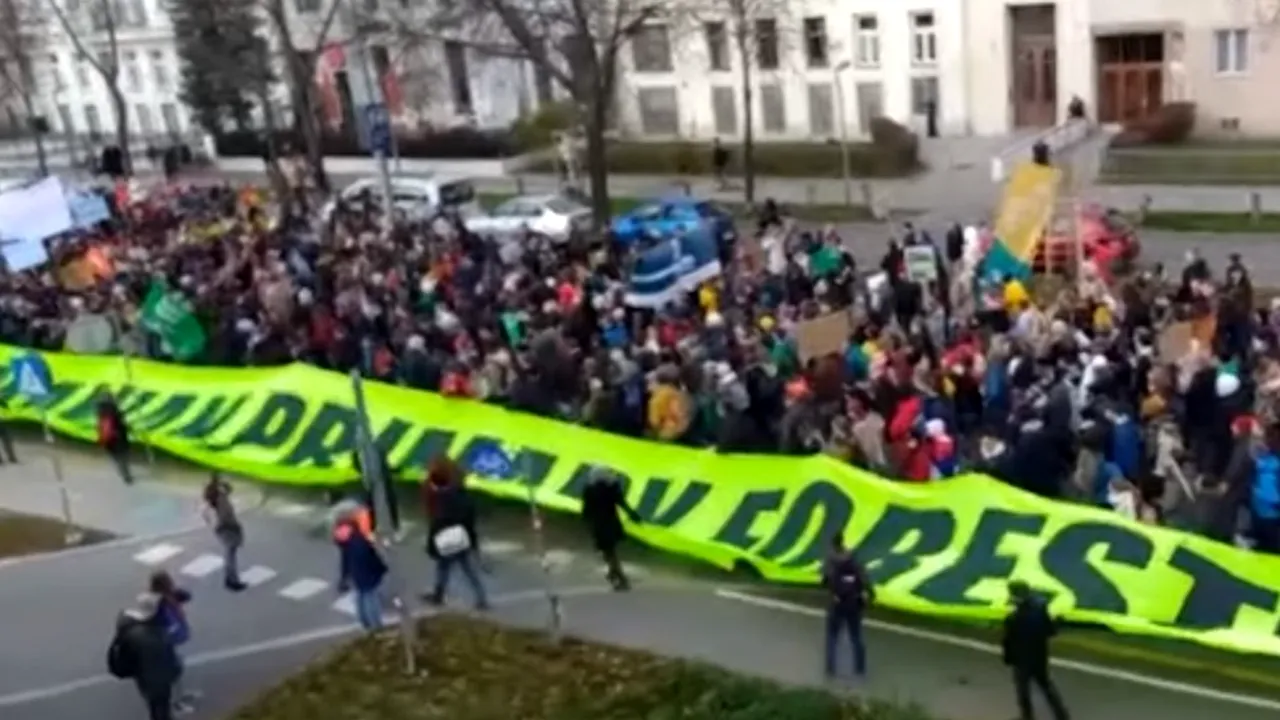 Împreună pentru păduri | Protest în fața Ministerului Mediului din Viena, față de tăierea pădurilor din România: „O serie de firme austriece toacă anual milioane de arbori din România