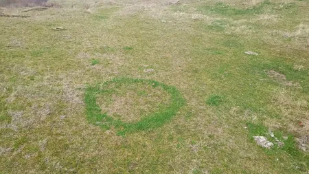 Apariție BIZARĂ pe un câmp din Buzău. Descoperirea a fost făcută de un ghid montan / „Se zice că au jucat ielele”
