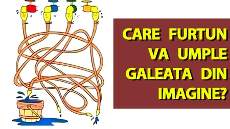 Test de inteligență | Care furtun va umple găleata din imagine?