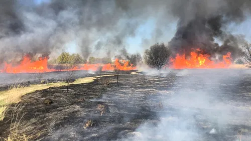 FOTO - VIDEO | Incendiul din Delta Văcărești a fost stins. Au ars 15.000 de metri pătrați de vegetație