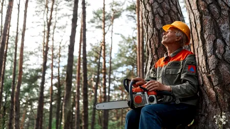 Meseria de ARBORIST este tot mai populară printre tinerii din România. Ce presupune această meserie și care este salariul