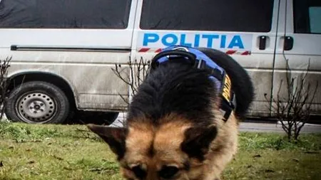 Mobilizare incredibilă în Caraș-Severin: Zeci de persoane caută un bărbat dispărut de patru zile de la locul de muncă