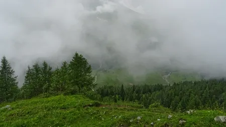 Cod galben de ceață densă în 12 județe. Care sunt zonele vizate