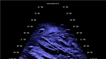 Descoperire sub apă: 