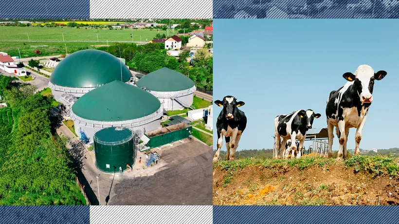 Energie din bălegar.  Mediul a lansat Ghidul de investiții pentru energie din biogaz în consultare publică
