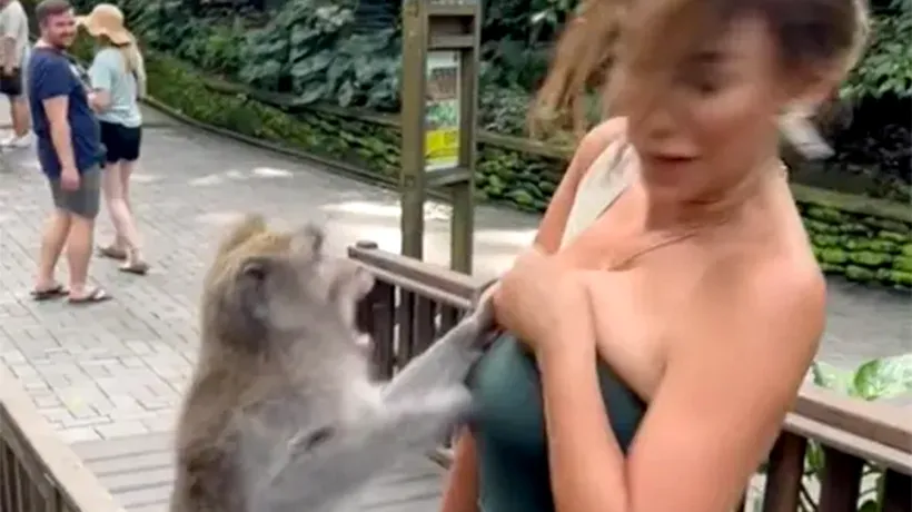 Imaginile au devenit virale! Cum a reacționat această maimuță dintr-o grădină zoologică, atunci când a văzut-o pe Miss Peru