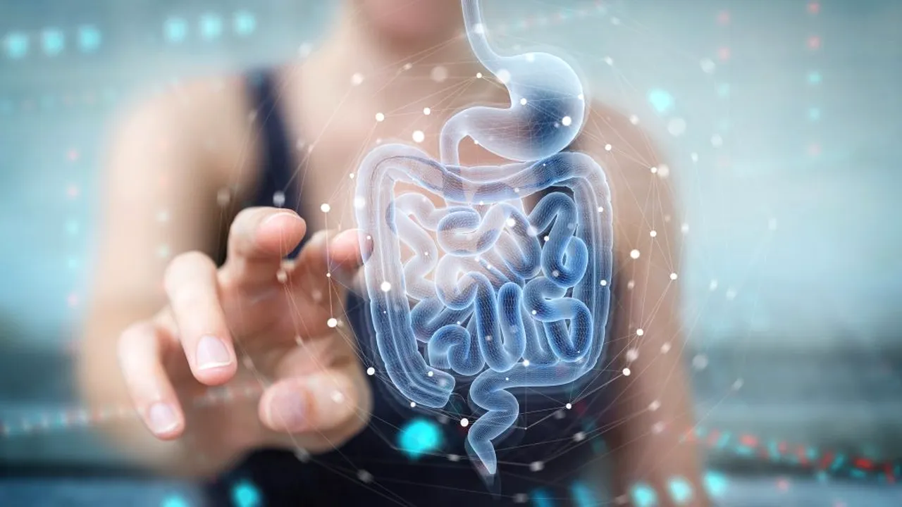 Unde se află locurile cu cele mai multe BACTERII, într-un birou. „Peste 3.000 de organisme pot fi găsite pe centimetru pătrat, pe o tastatură”