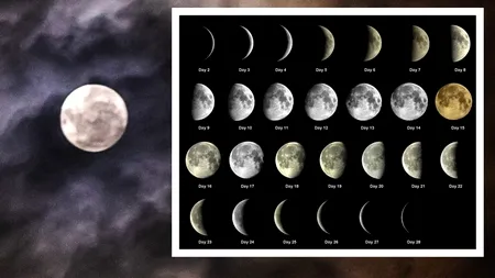 Dietă „vârcolac” | Ce trebuie să mânânci ca să dai jos 3 kilograme în doar 24 de ore