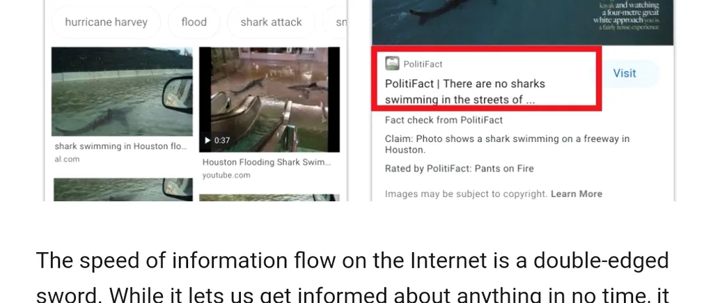 ANUNȚ. Google adaugă eticheta „Fact-check” pentru căutările de imagini