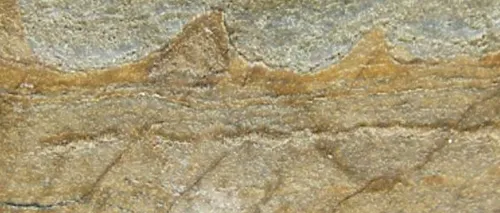 Cea mai veche fosilă de pe Pământ a fost descoperită. Conține primele dovezi ale vieții de pe Terra