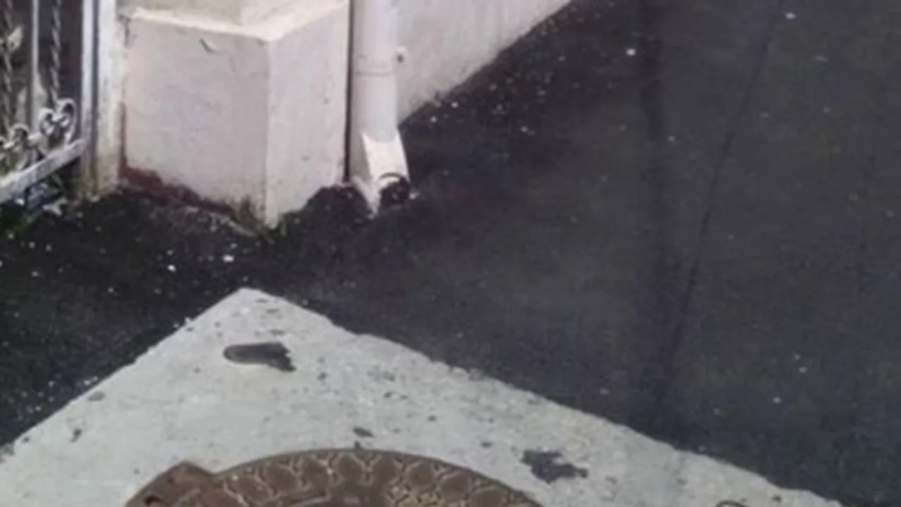 Fotografia zilei: cum a asfaltat Dorel de Craiova o stradă