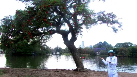 Gestul inedit făcut de un ecologist peruan pentru a salva mediul înconjurător