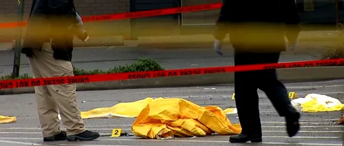 Bărbatul împușcat mortal de poliție, în Boston, intenționa să decapiteze un polițist 