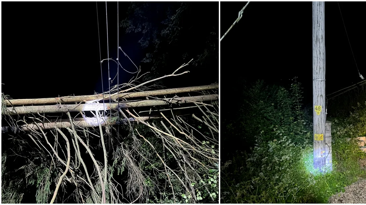 Circulația trenurilor, dată peste cap de vremea rea/Întârzieri în GĂRI, nemulțumiri în vagoane