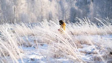 Aer de munte în București. Viteza vântului a fost mai ridicata în zilele acestea.
