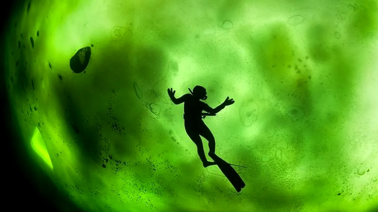 GALERIE FOTO: Luminile nordului, așa cum nu le-ai mai văzut până acum