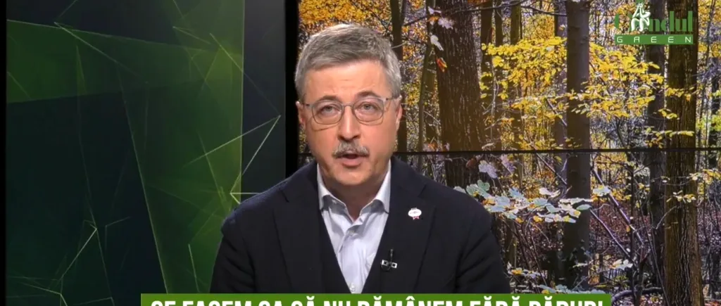 GÂNDUL GREEN. Ce facem ca să nu rămânem fără păduri? Cristian Neagoe, Greenpeace: „11 milioane de români sunt în stare de risc. Mai avem 6% umbră la câmpie. Este o problemă de siguranță națională”/ Ciulacu, ViitorPlus: „Avem un deficit masiv în sudul țării”