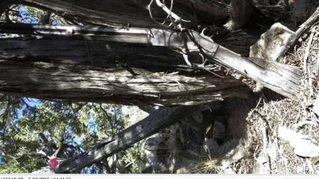 Arheologii au făcut o descoperire misterioasă în Parcul național al Marelui Bazin din Nevada. „Suntem siguri că are o poveste foarte interesantă