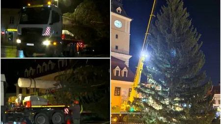 Cel mai mare brad de Crăciun va fi împodobit în Brașov. Pomul înalt de 31 de metri a fost montat, deja, în centrul istoric