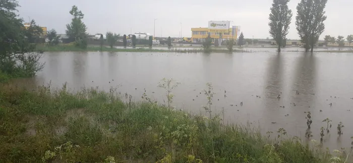 Dezastru în județele din sudul țării. Viitura a intrat în curți și case - FOTO