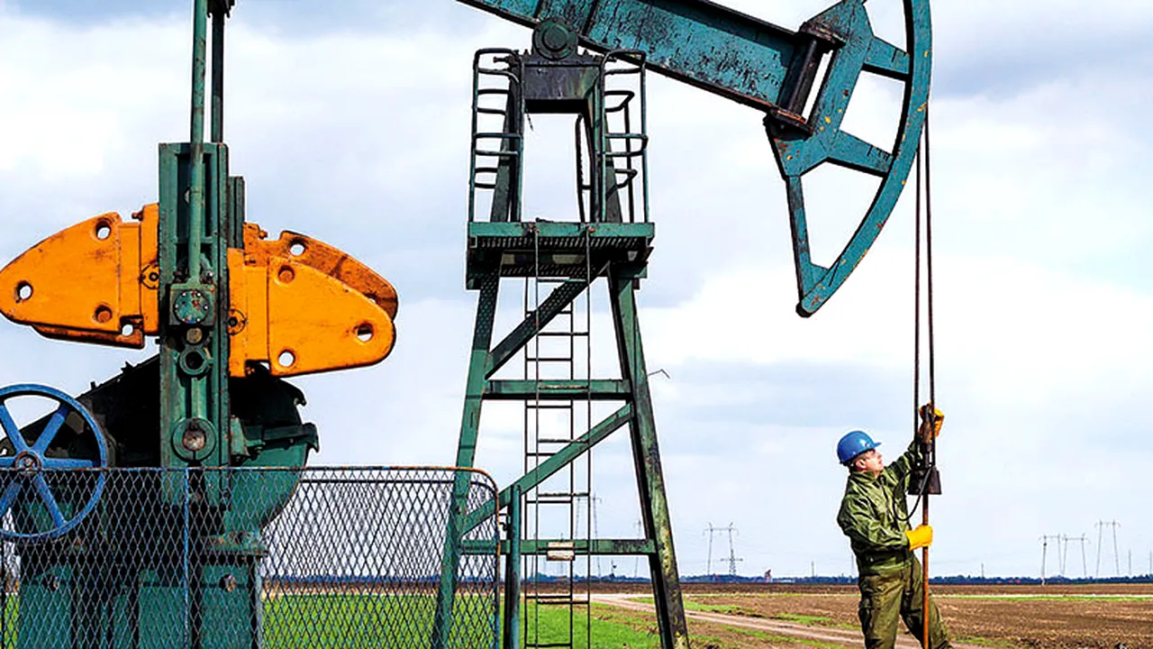 Angajații unei companii petroliere făceau săpături în Bacău, în apropierea unor sonde. Când au văzut peste ce au dat au sunat imediat la poliție