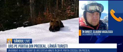 GÂNDUL LIVE. Ce spun specialiștii despre monitorul de schi de la Predeal, care „s-a jucat” cu ursul pentru a salva turiștii: A procedat ca la carte