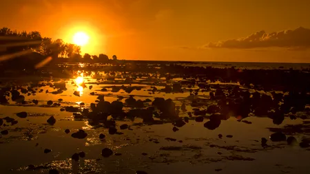 Vremea CALDĂ în weekend. Temperaturile maxime, până la 35 grade Celsius