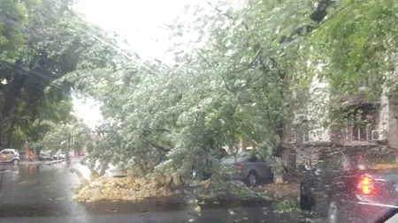 COD GALBEN de vijelii, averse și grindină în Capitală și Ilfov, până la 18.00