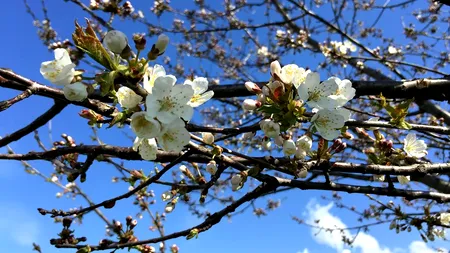 ANM anunță cum va fi vremea în următoarele patru săptămâni. Data când scăpăm de PLOI și frig