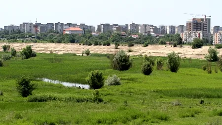 DELTA din București. Sulfina Barbu îi cere Rovanei Plumb să finalizeze litigiul în instanță legat de zona Văcărești