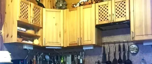 ILUZIE optică virală | Unde este pisica ascunsă în bucătărie?